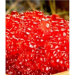 Икра кижуча слабый посол 250 гр