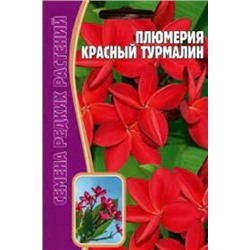 Цв.Плюмерия Красный турмалин (Григорьев) 3шт