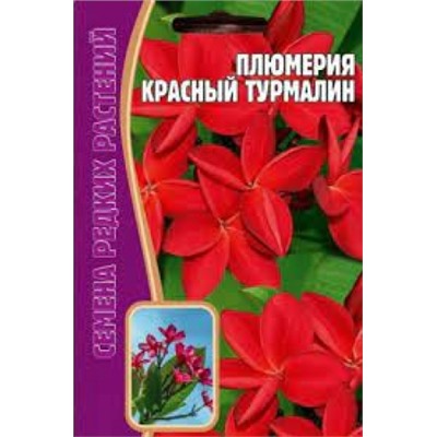 Цв.Плюмерия Красный турмалин (Григорьев) 3шт