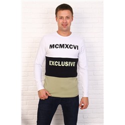 Футболка с дл. рукавом 26543 (Белый)