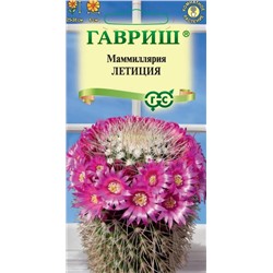 Кактус Маммиллярия Бакеберга Летиция (Гавр)