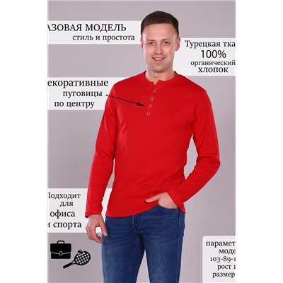 Футболка с дл. рукавом 17572 НАТАЛИ #766824