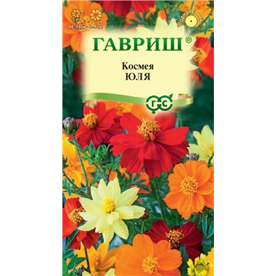 Космея Юля карликовая Гавриш