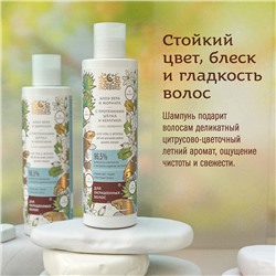 Ayurvedic Shampoo ALOE VERA & MORINGA, Indibird (Аюрведический шампунь АЛОЭ (алое) ВЕРА И МОРИНГА С ПРОТЕИНАМИ ШЕЛКА И КЕРАТИНА, для окрашенных волос, Индибёрд), 250 мл.