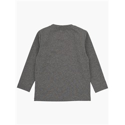 Футболка (лонгслив) UD 7760 граф.меланж