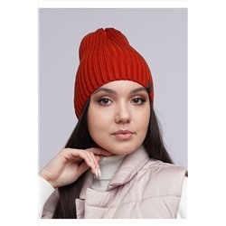 Шапка CLEVER #852207