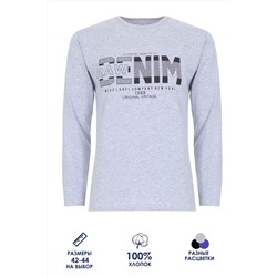 Футболка подростковая с длинным рукавом ФН171-1 Denim