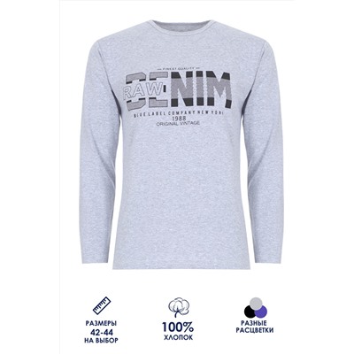 Футболка подростковая с длинным рукавом ФН171-1 Denim
