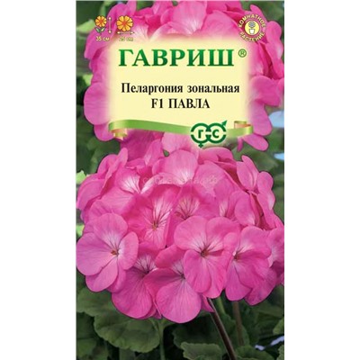 Пеларгония Павла F1 (Гавр)