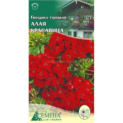 Гвоздика турецкая Алая красавица, 0,3г (цв.)