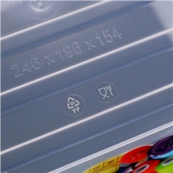 Контейнер-органайзер с крышкой «Аптечка», 5 л, 25×20×16 см, лоток органайзер S, цвет прозрачный