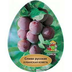 Слива Кубанская комета (Алыча) (Поиск) кор