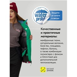 Горнолыжный костюм женский зимний черного цвета 002_1Ch