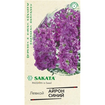 Левкой Айрон синий махровый (Гавр)