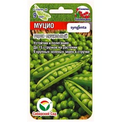 Горох Муцио (Сиб.сад) 4г