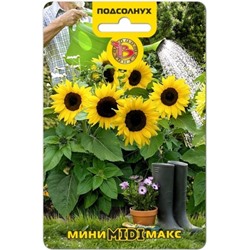 Цв.Подсолнечник Мини-Макс Миди F1 (Био) 5шт