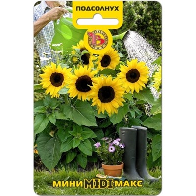 Цв.Подсолнечник Мини-Макс Миди F1 (Био) 5шт