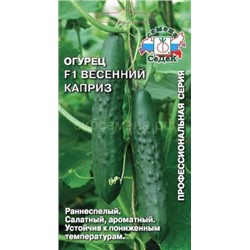Огурец Весенний каприз F1 (Седек)