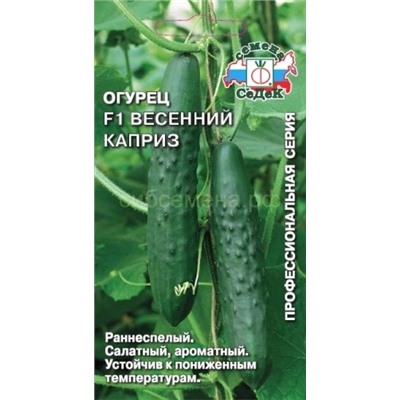 Огурец Весенний каприз F1 (Седек)