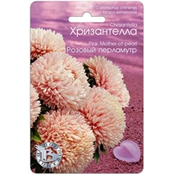 Цв.Астра Хризантелла Розовый перламутр (Био) 30шт