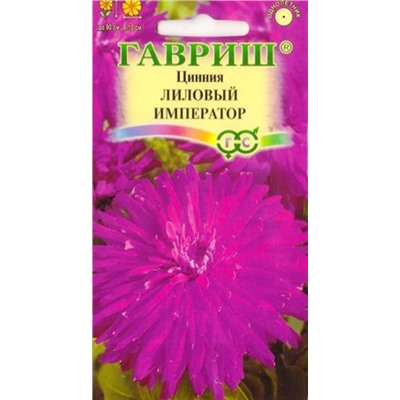 Цинния Лиловый Император (Код: 70972)