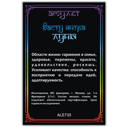 ALE735 Амулет ВАСТУ ЯНТРА ЛУНЫ, кулон со шнурком (металл, размер кулона 36х28 мм.), 1 шт.