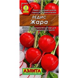 Редис Жара (Аэлита)