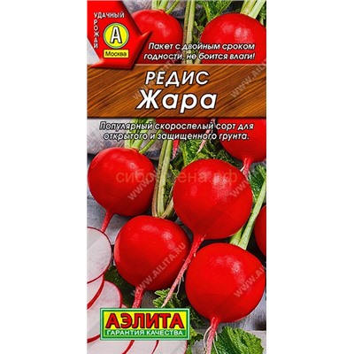 Редис Жара (Аэлита)