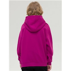 BFNK4297/2 (Толстовка для мальчика, Pelican Outlet )