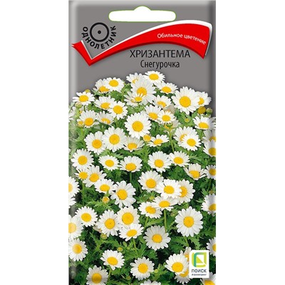 Хризантема Снегурочка (П)