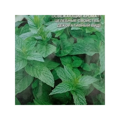Мята Морозное утро (УД) 0,05г