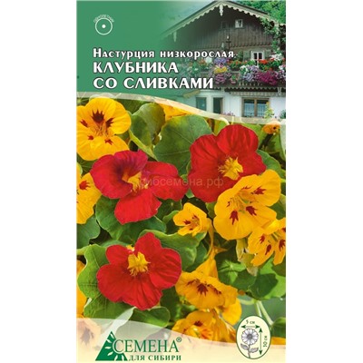 Настурция Клубника со сливками, 0,5г (цв)