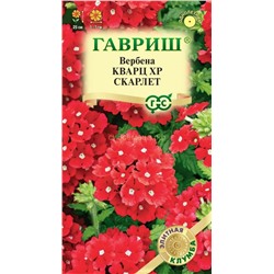 Вербена Кварц XP Скарлет гибридная (Гавр)