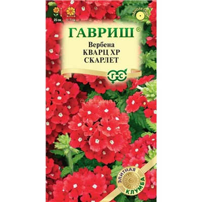 Вербена Кварц XP Скарлет гибридная (Гавр)