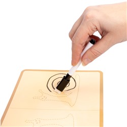 Развивающая игра для маленьких «Двумя руками» Пиши-стирай