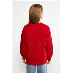 Джемпер ACOOLA #1039291