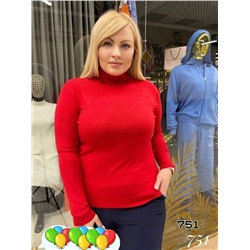Водолазка 883176