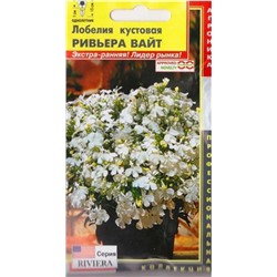 Лобелия Ривьера Вайт (Код: 85570)