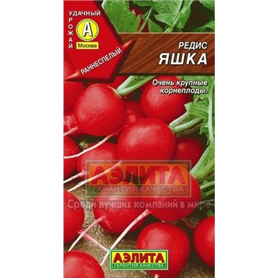 Редис Яшка (Аэлита) 3г