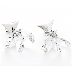 Серьги PR2889 серебро