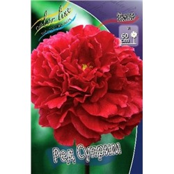 Пион Ред Суприм трав. 2/3 (ИС) 1шт