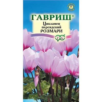 Цв.Цикламен Розмари персидск. (Гавриш) 3шт.ком.