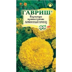 Цв.Барх.Лимонный принц прямост. (Гавриш) 0,1г выс.