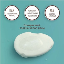Ayurvedic Shampoo POMEGRANATE & VETIVER, Indibird (Аюрведический шампунь ГРАНАТ И ВЕТИВЕР С ПАНТЕНОЛОМ ДЛЯ МУЖЧИН, для укрепления волос, Индибёрд), 250 мл.