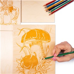 Набор досок с рисунком для выжигания А5 и А4 «Грибы-боровики и Витязь» (4 штуки)