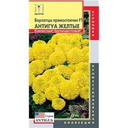 Цв.Барх.Антигуа Желтые F1низ.прям. (Плазма) 5шт
