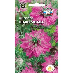 Цв.Нигелла Шахеризада (Седек) 1г