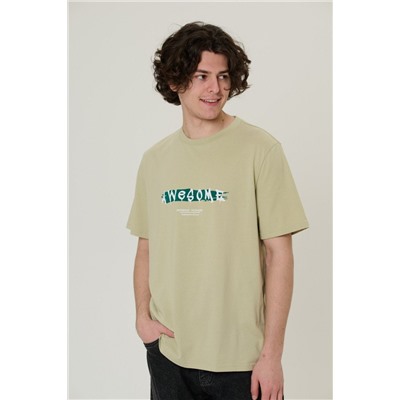 футболка мужская 2919-20