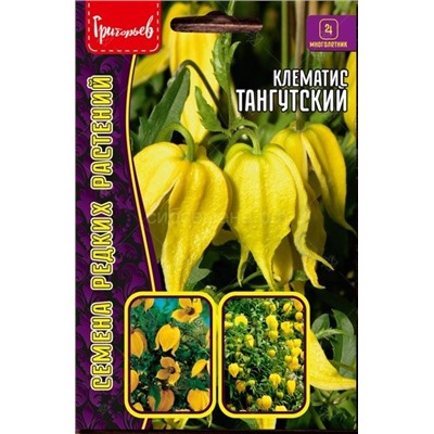 Клематис Тангутский (Редкие)