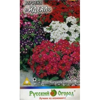 Цв.Вербена Идеал смесь (НК) 0,2г
